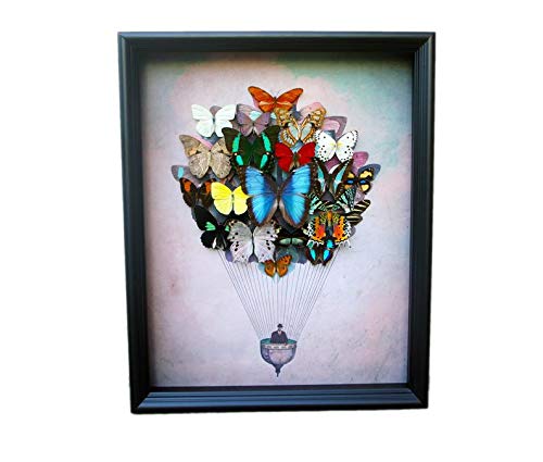Real Framed Butterfly Art Hot Air Balloon - Nature Inspired Wall Decor for Living Room, Bedroom & Office | Unique Home Decoration Gift Idea
