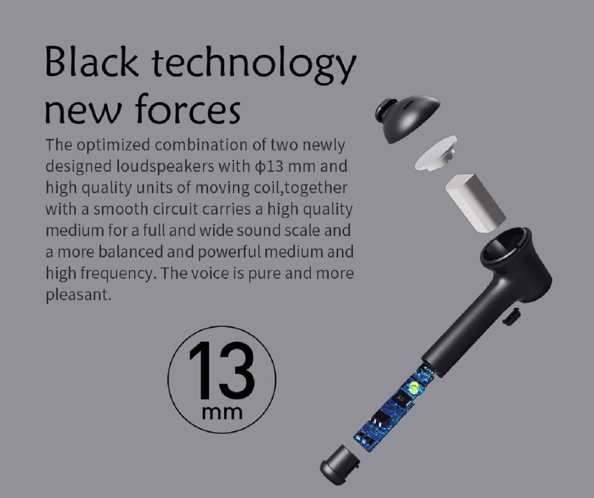 Bluedio Hurricane-HI Wireless Bluetooth 5.0 Earbuds with Face Recognition - True Wireless Sports Earphones with Charging Case & Built-in Mic for Running, Gym & Workout (Black) - Perfect for Commuting, Travel & Active Lifestyle
