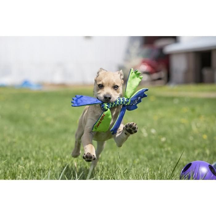 Jolly Pets Flat Head Dog Toy - Durable Chew Toy for Aggressive Chewers, Interactive Play & Training - Perfect for Large Dogs, Puppies & Strong Chewers (Great for Fetch, Tug-of-War & Dental Health)
