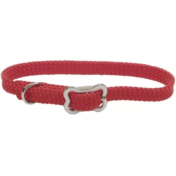 Stylish Coastal Sunburst Dog Collar with Durable Bone Buckle - Perfect for Beach Walks & Outdoor Adventures
