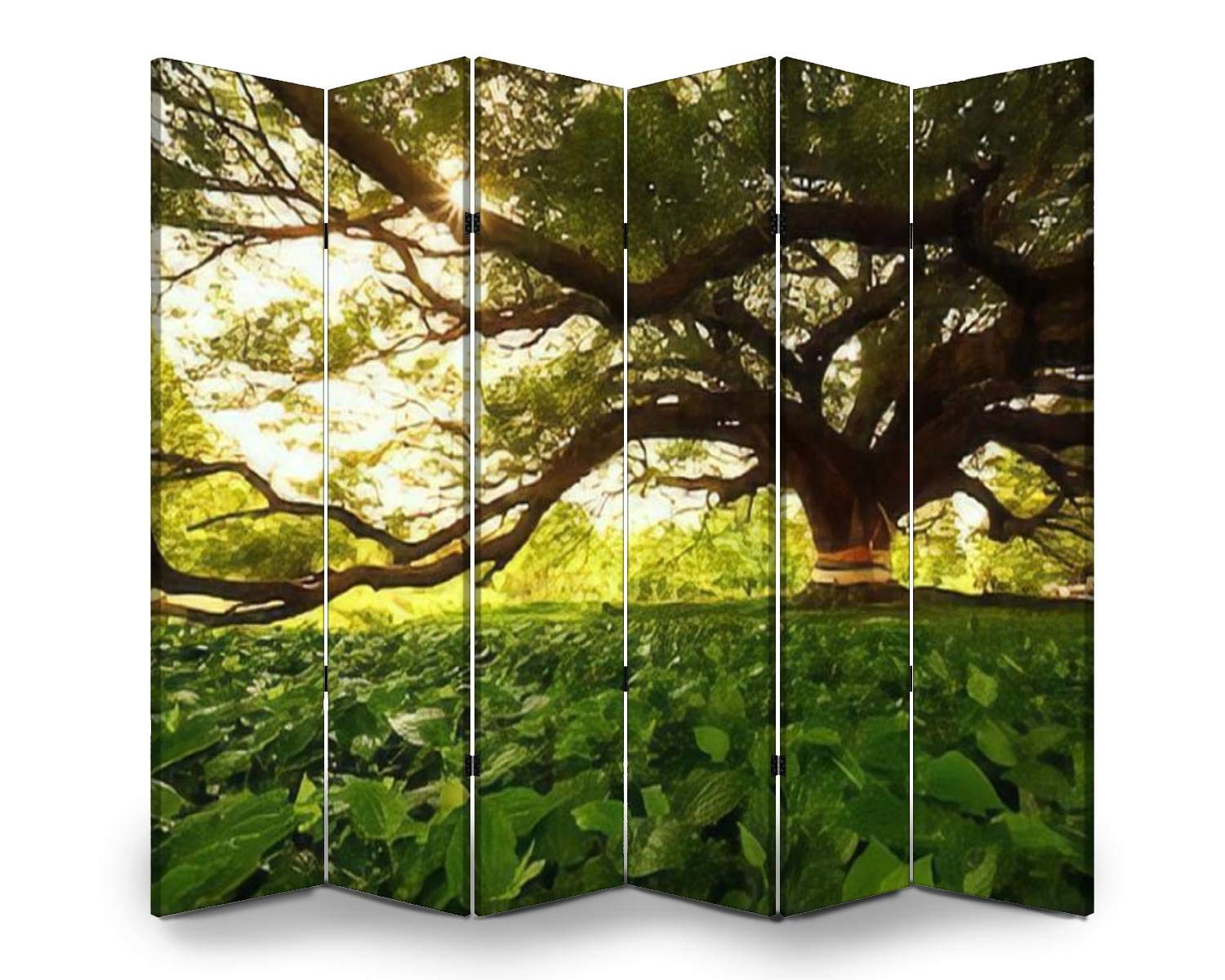 6-Panel Folding Room Divider Screen - Handcrafted Monkey Pod Wood from Thailand - Freestanding Privacy Partition for Indoor/Outdoor Use - Perfect for Home Office, Bedroom Separation, and Event Spaces