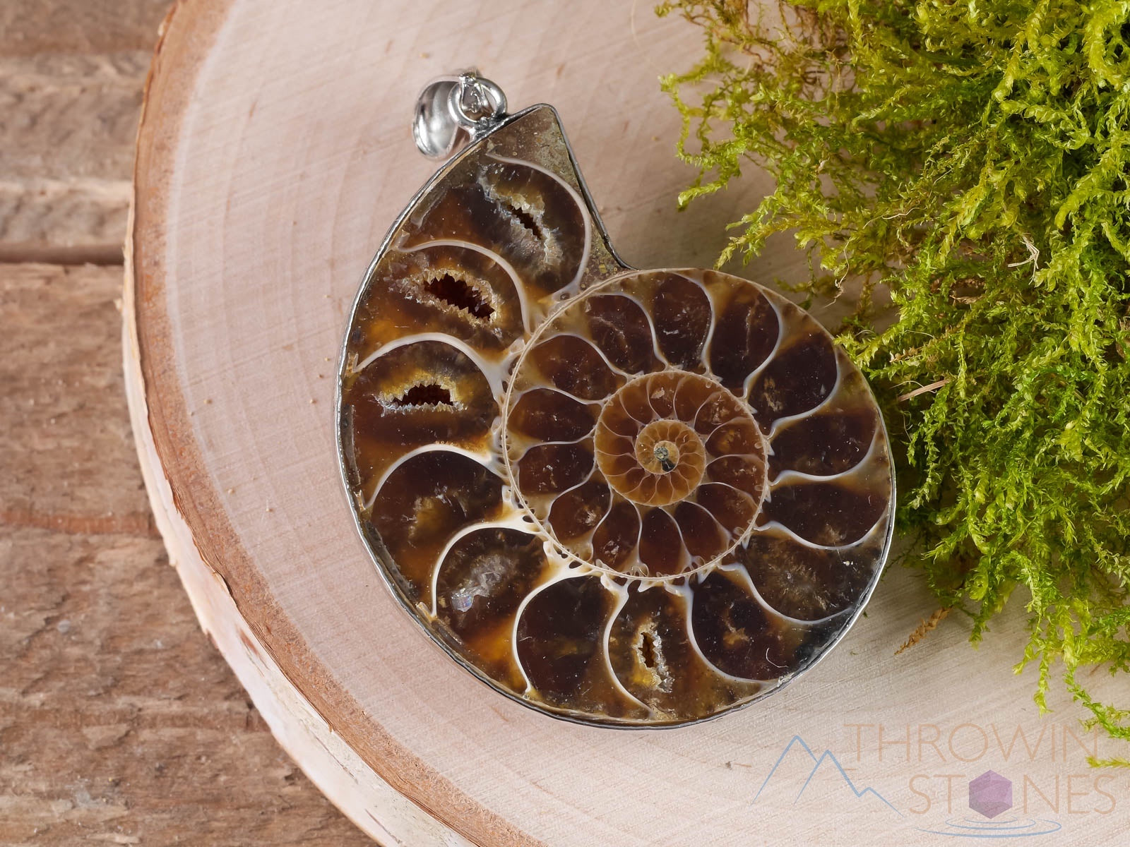 AMMONITE Fossil Pendant - Natural Ammolite & Opalized Ammonite Jewelry with Iridescent Colors | Unique Gift for Women, Men | Perfect for Birthdays, Anniversaries & Spiritual Healing (E0282)