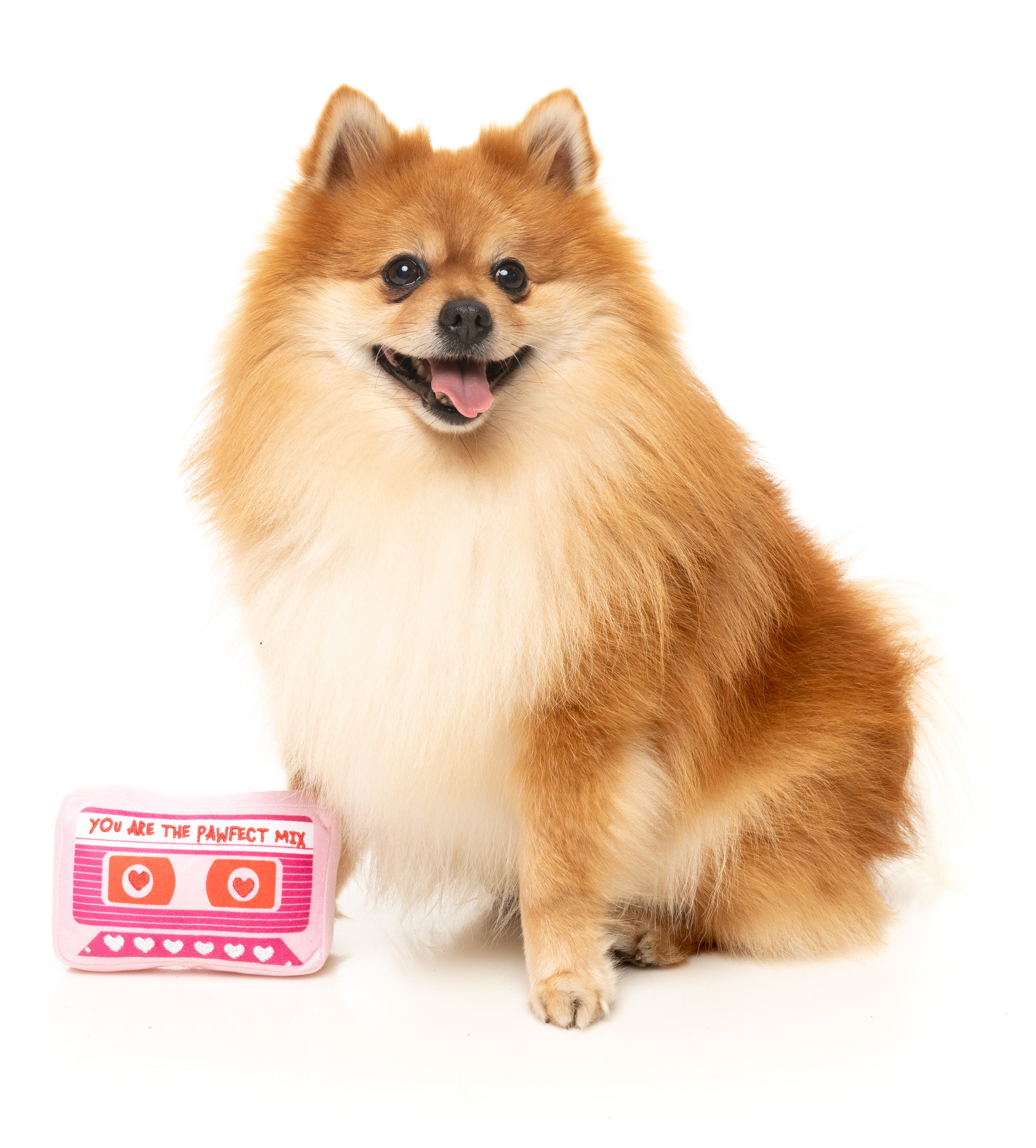 Fuzzy Valentine's Day Plush Dog Toy - Pawfect Mix Tape Shape | Cute & Durable Pet Chew Toy for Small & Medium Dogs | Perfect Gift for Puppy Love & Playtime