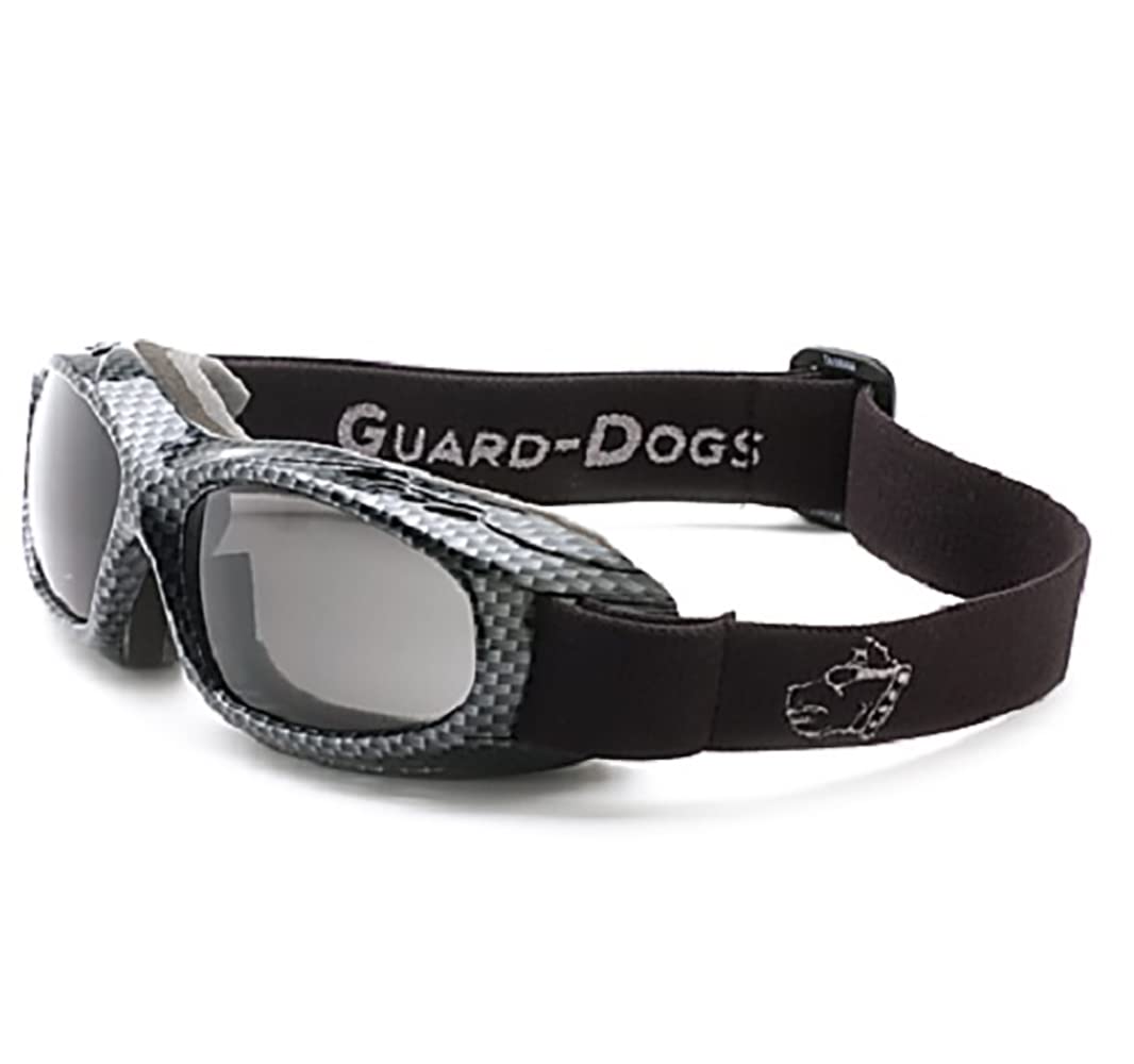 Evader I Smoke Sunglasses with FogStopper Technology - Lightweight Carbon Fiber Frame for Cycling, Motorcycling & Outdoor Sports