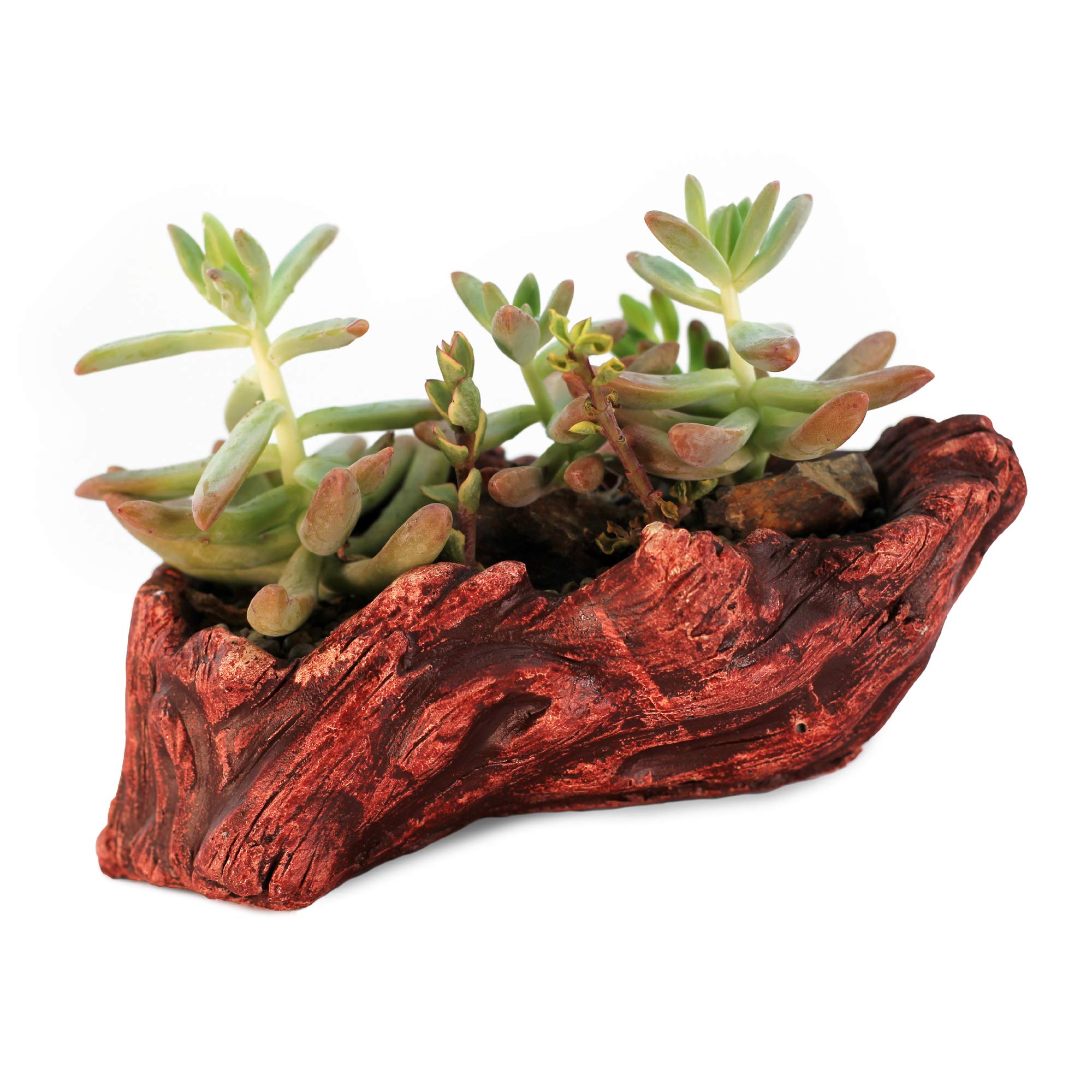Ceramic Wood Planter Pot for Indoor Plants - Unique Log Design Succulent & Flower Pot (Redwood Ridge) - Perfect for Home Decor, Office Desk, and Gift Ideas