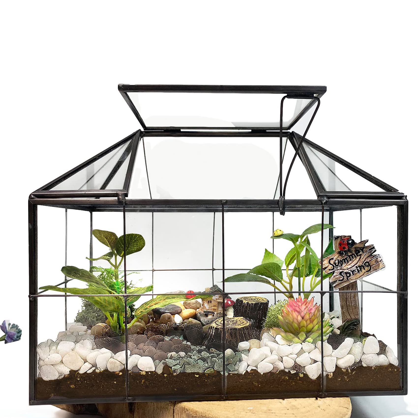 Ferrisland Glass Terrarium Greenhouse - House Shape Display Box for Succulents & Air Plants | Modern Tabletop Decor Planter Container | Perfect for Home Office, Wedding Centerpiece & DIY Garden Projects