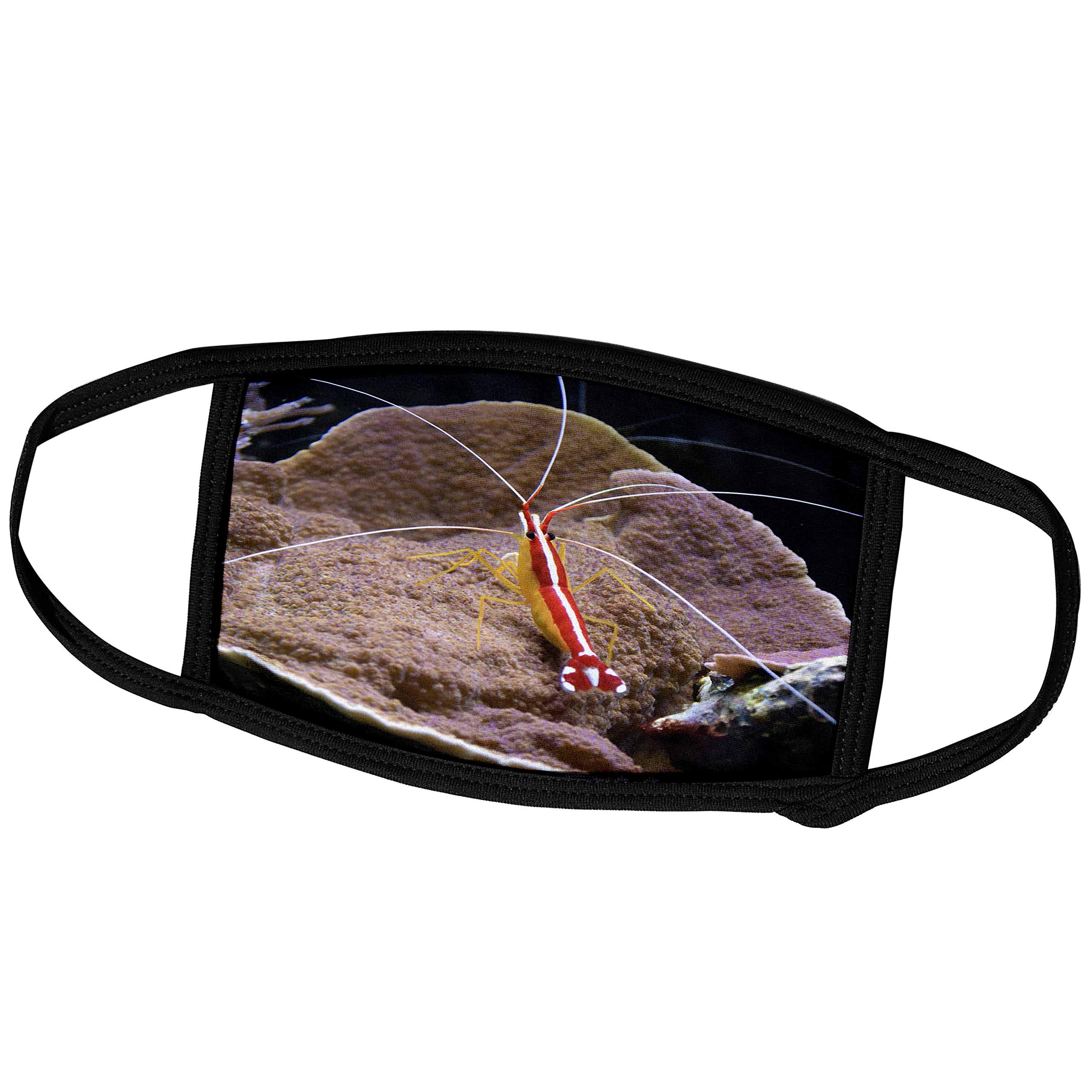 3D Printed Small Face Mask - Cleaner Shrimp Red Animal Aquarium Design | Perfect for Aquarium Enthusiasts, Marine Life Lovers & Unique Gift Ideas