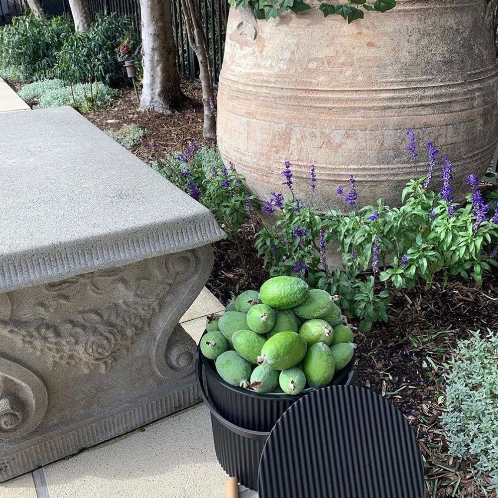 HACHIMAN KASEI 20L OmnioUtil Storage Bin - Black Plastic Garden Organizer for Home, Yard & Outdoor Use - Perfect for Storing Tools, Toys & Gardening Supplies