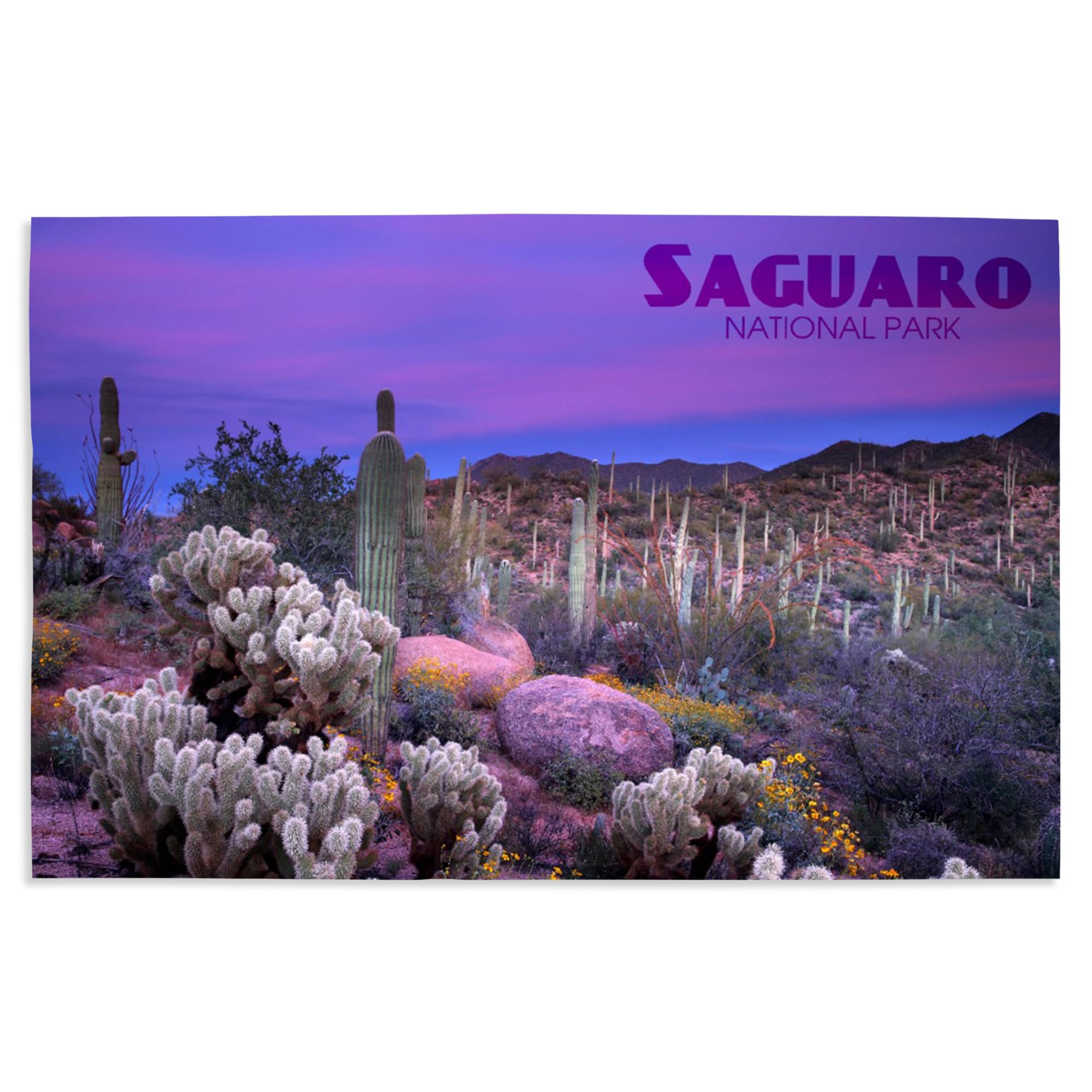 Lantern Press 16x24 Inch Giclee Art Print - Saguaro National Park Arizona Landscape with Purple Dusk - Perfect for Home Decor, Office Wall Art & Nature Lover Gifts
