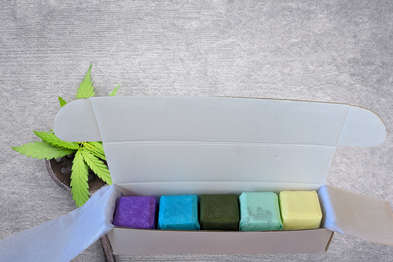 THC-Free CBD Shower Steamers Gift Set - 5 Aromatherapy Fizzy Bath Bombs for Relaxation & Stress Relief | Perfect for Self-Care, Spa Nights & Gift Giving