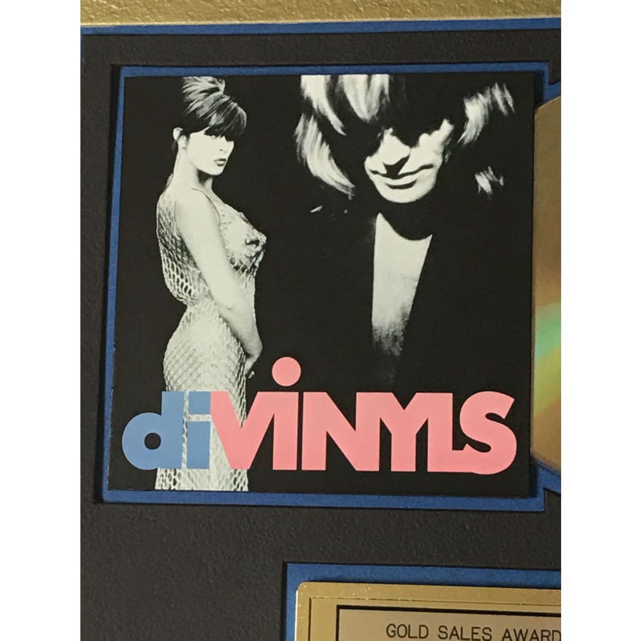 Divinyls Debut Album Award - RIAA Certified Gold Record - Perfect for Music Collectors & Vinyl Enthusiasts - Great for Display in Home, Office or Music Studio