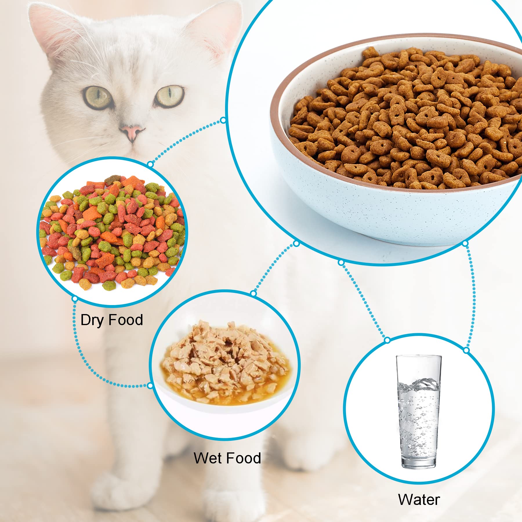 5.3 Inch Ceramic Cat Bowls Set of 3 - Shallow Pet Food & Water Dishes for Small Cats - Durable Non-Slip Blue Cat Bowls - Perfect for Kittens, Senior Cats & Multi-Cat Homes