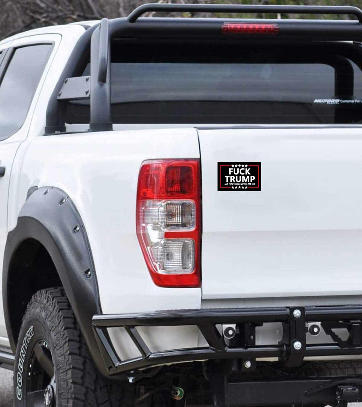 10 Pack Anti-Trump Political Stickers - Waterproof Decals for Laptop, Bumper, Window & Car - Funny Political Protest Decoration for Elections & Activism