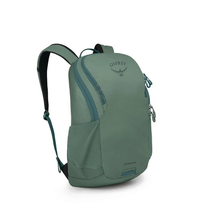 Pine Leaf Green