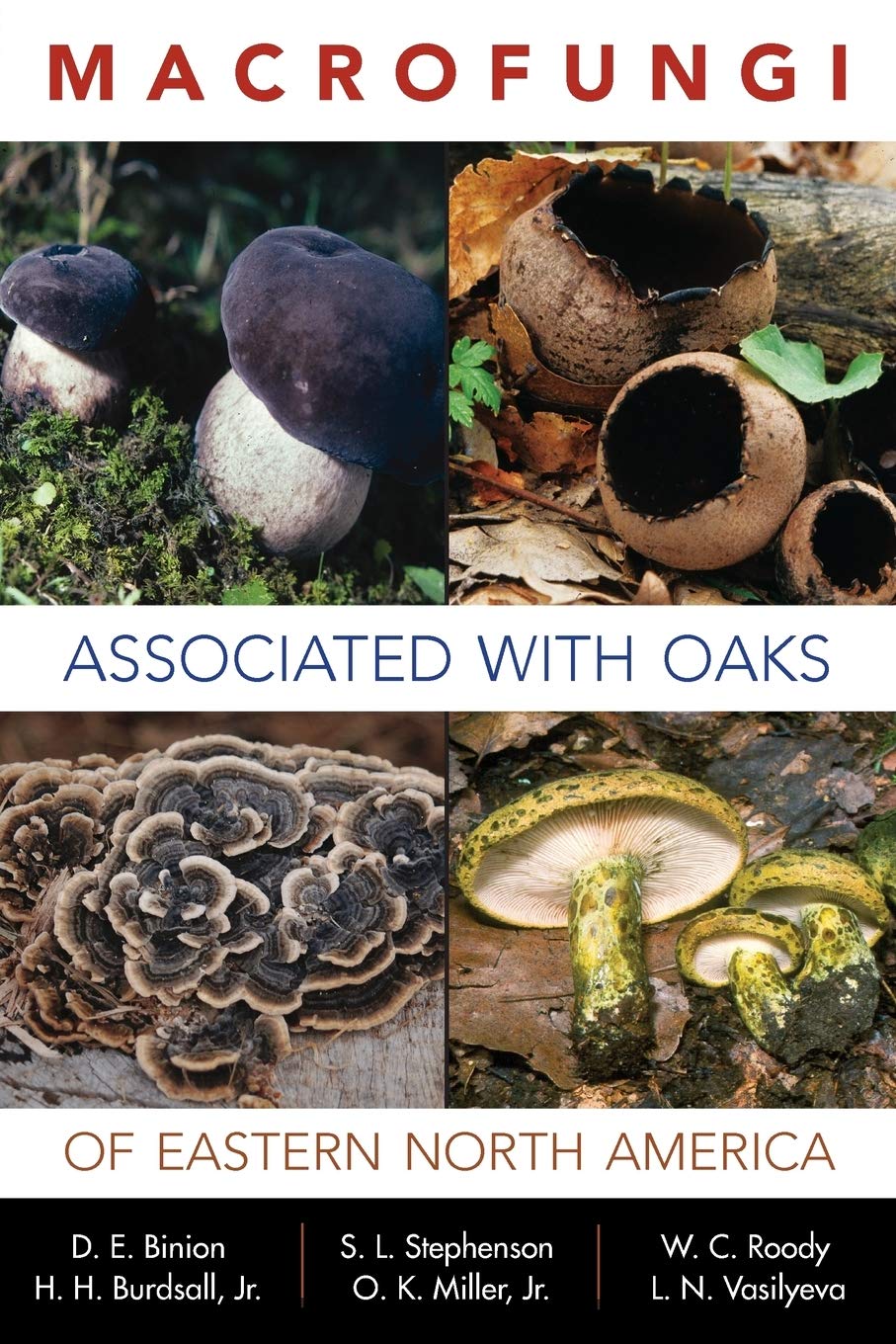 Macrofungi Associated With Oaks of Eastern North America | Mushroom Field Guide & Identification | Foraging, Hiking & Nature Study