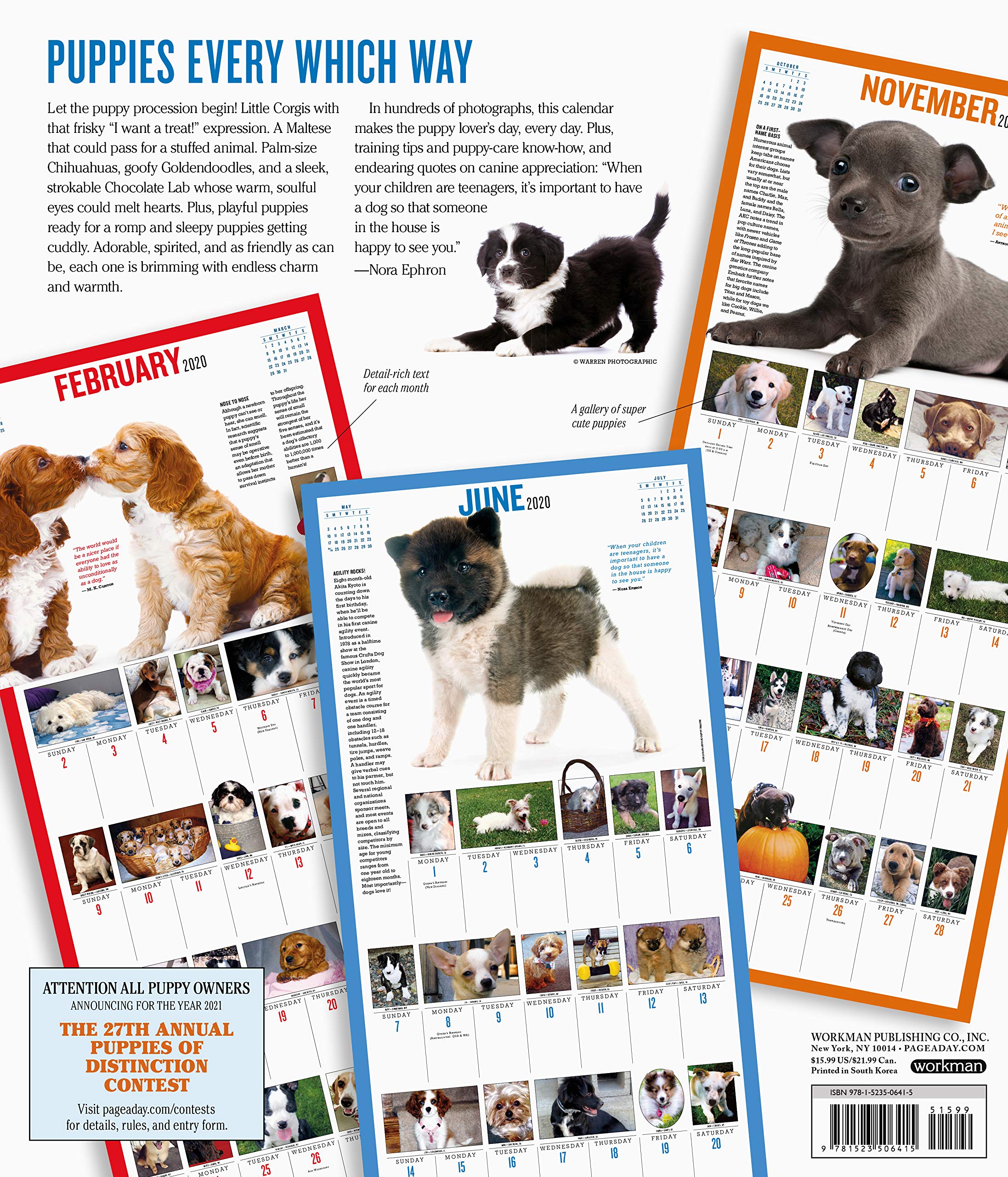 2020 Puppies Daily Wall Calendar - 365 Adorable Puppy Pictures for Dog Lovers | Perfect for Home, Office & Gift Giving