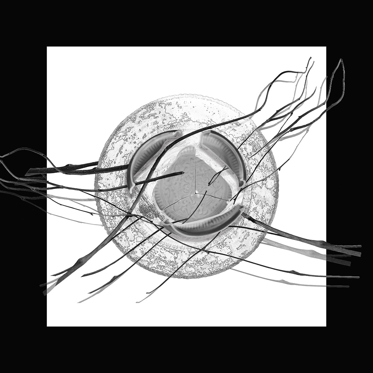 Laurence Bach: Drawing #21, 2025 - Original Artwork for Home Decor & Office Wall Art | Modern Abstract Painting for Living Room, Bedroom or Gallery Display
