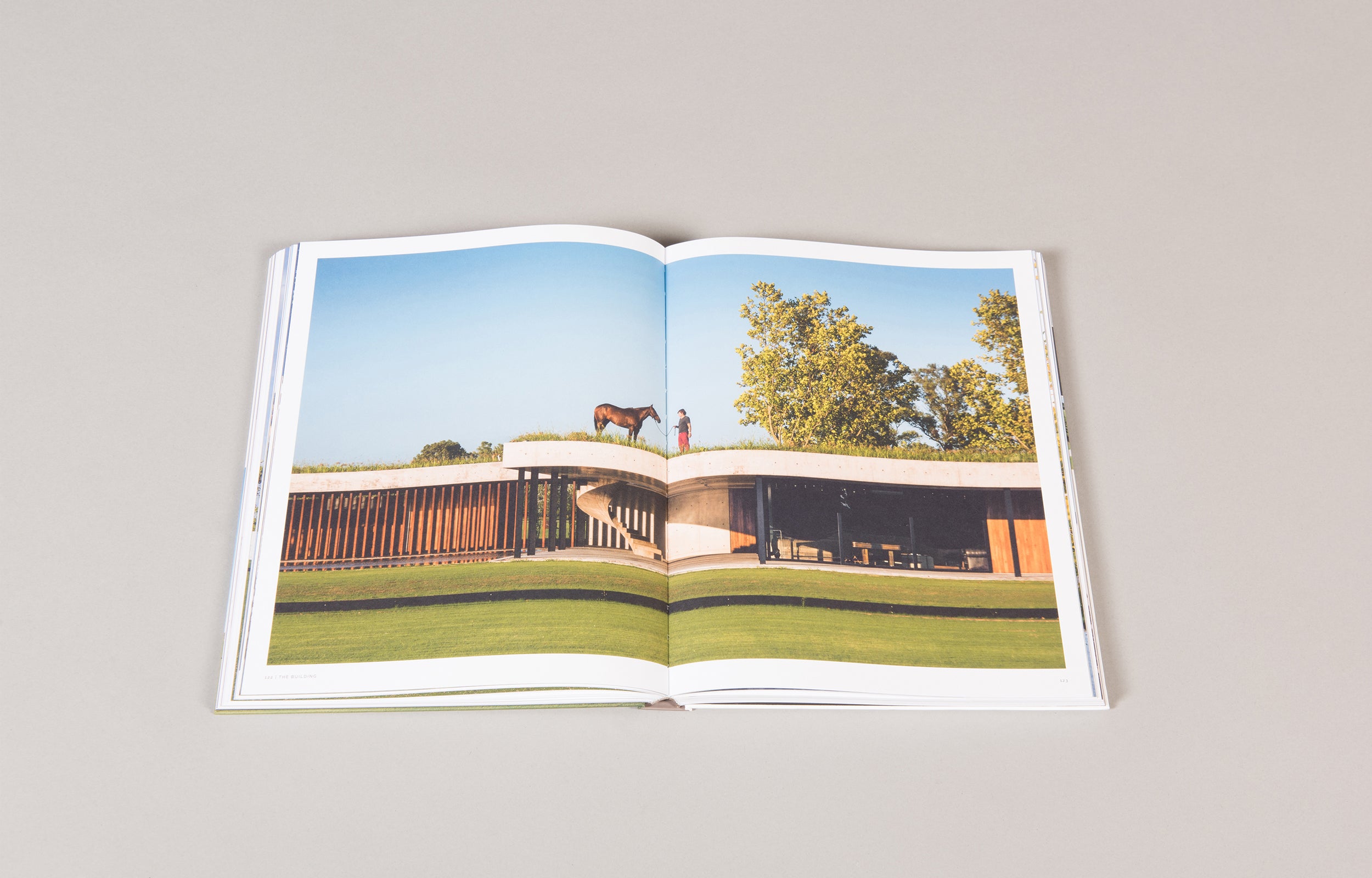 Figueras Polo Stables: Estudio Ramos Masterpiece Series - Premium Equestrian Art for Polo Enthusiasts & Home Decor