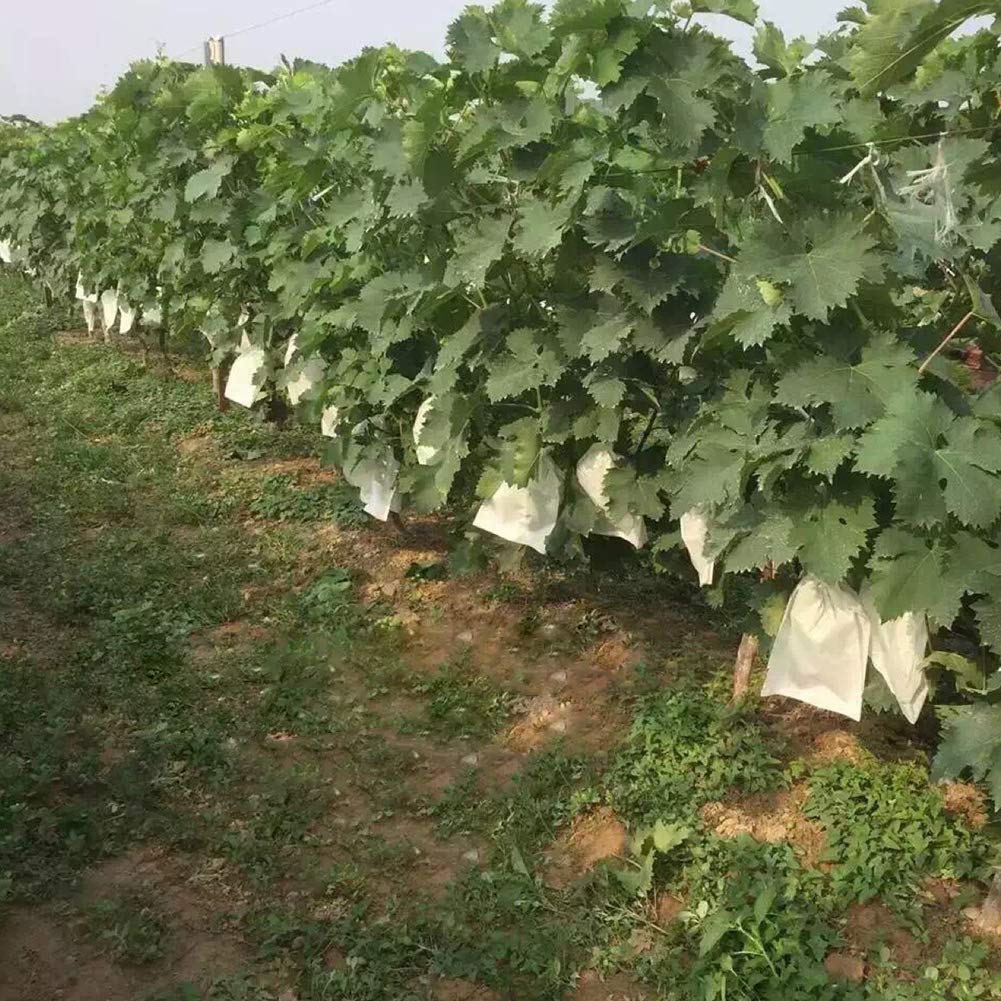 50 Pcs Reusable Fruit Protection Bags 7x8 Inch - Garden Netting Covers for Trees, Plants, Flowers - Durable Mesh Bags for Apple, Pear, Peach Protection (Perfect for Organic Gardening & Pest Control)