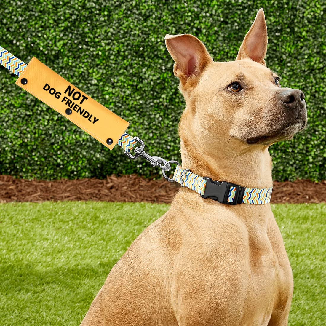 PWHAOO Handler Need Space Leash Wrap - Non-Dog Friendly Sleeve for Rescue & Anxious Dogs - Calming Leash Cover for Nervous Pets - Perfect for Walks, Training & Public Outings