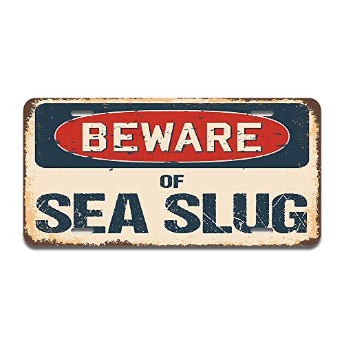Beware of Sea Slug
