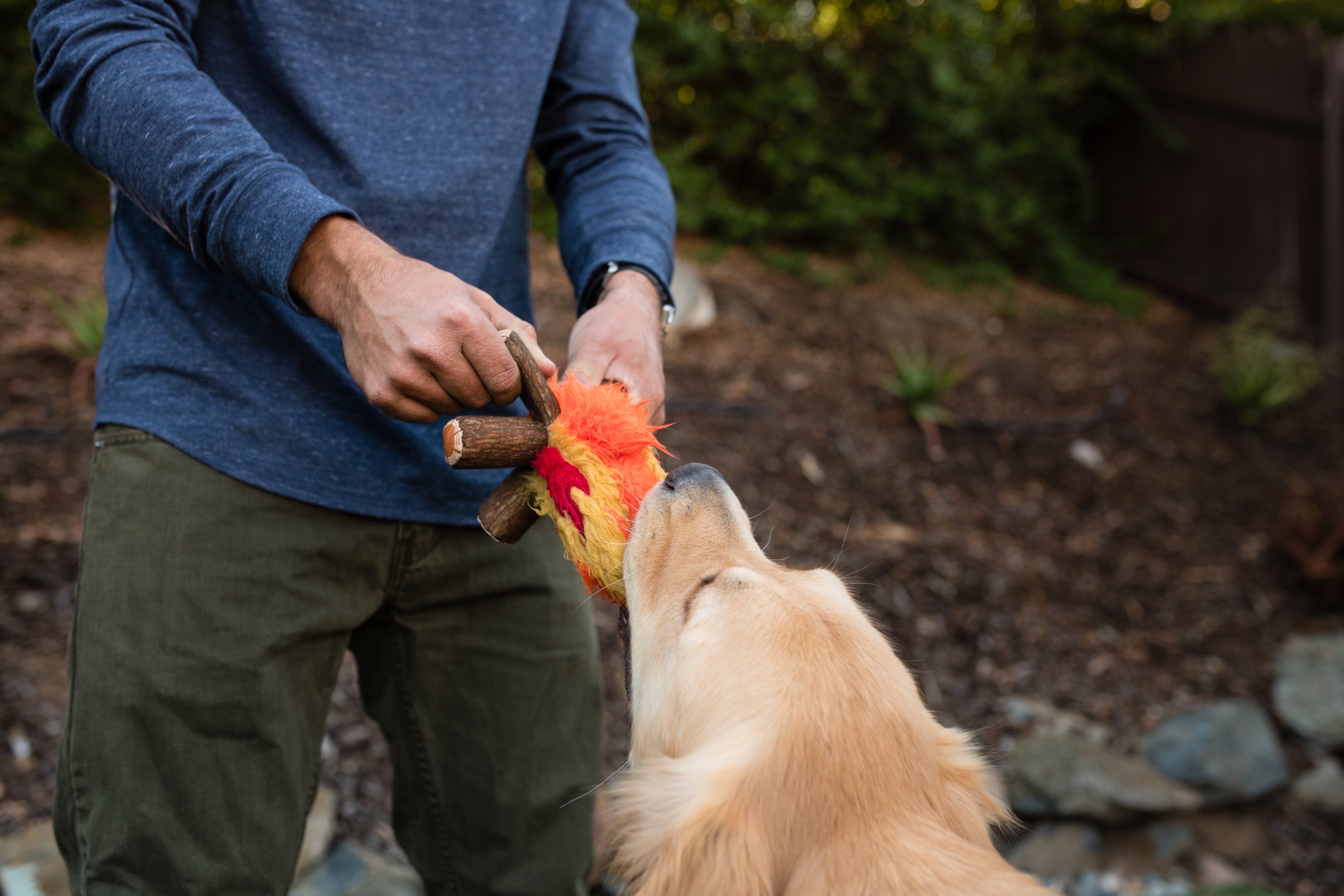 La Fogata Dog Chew Toy - Camp Corbin™ Plush Squeaky Chew Toy for Dogs | Pet P.L.A.Y. | Perfect for Playtime, Training & Outdoor Adventures