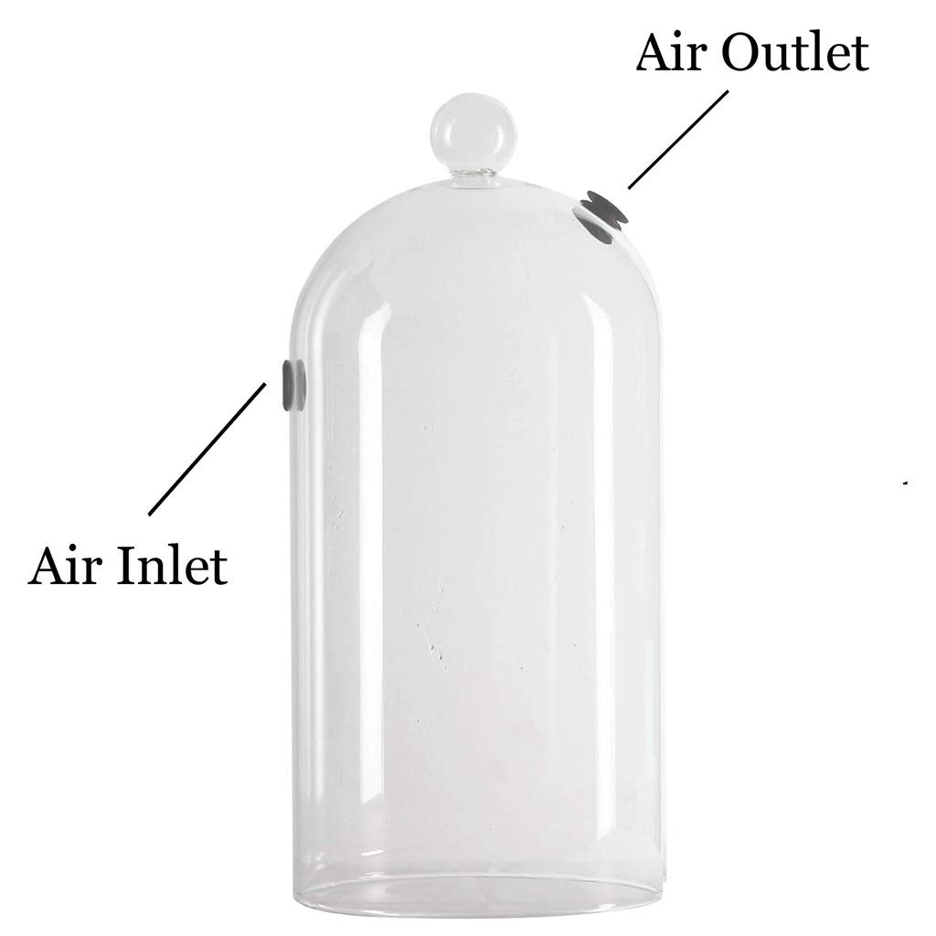 Portable Smoking Gun with Hose & Dome - Handheld Wood Smoke Infuser for Meat, Salmon, Cocktails, Cheese - Perfect for BBQ, Grilling & Home Kitchen Use