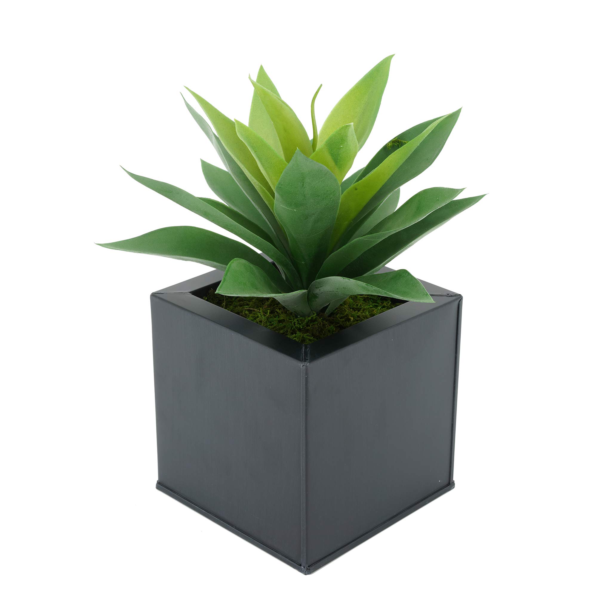 Artificial Frosted Light Green Succulent Plant in Square Zinc Pot - House of Silk Flowers - Perfect for Home Office Decor, Wedding Centerpieces & Shelf Displays