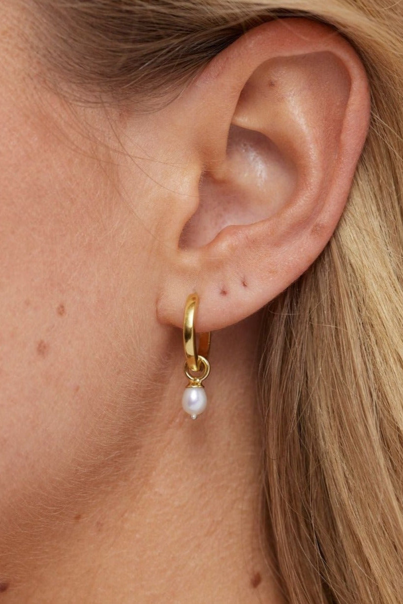 Elegant Pearl Gold Earring Charm - 14K Gold Plated Pearl Stud Earrings for Women | Perfect for Weddings, Parties & Special Occasions