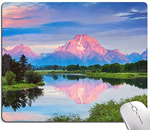 Snowy Mountains Lake Tree Landscape