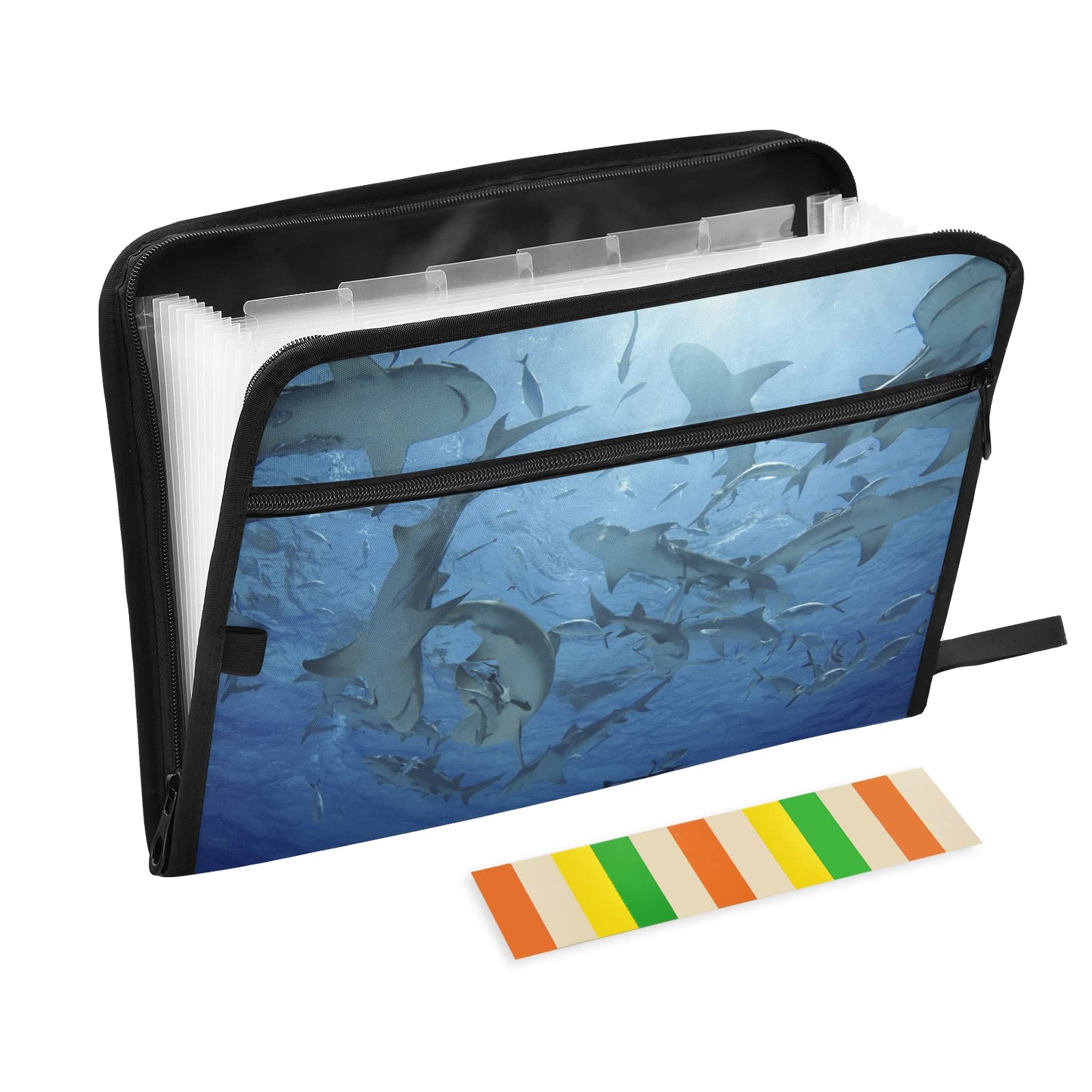 Lemon Shark Expanding File Folder with Zipper - 13 Pocket Document Organizer for A4/Letter Size - Office & Home Use for Bills, Receipts, Tax Papers