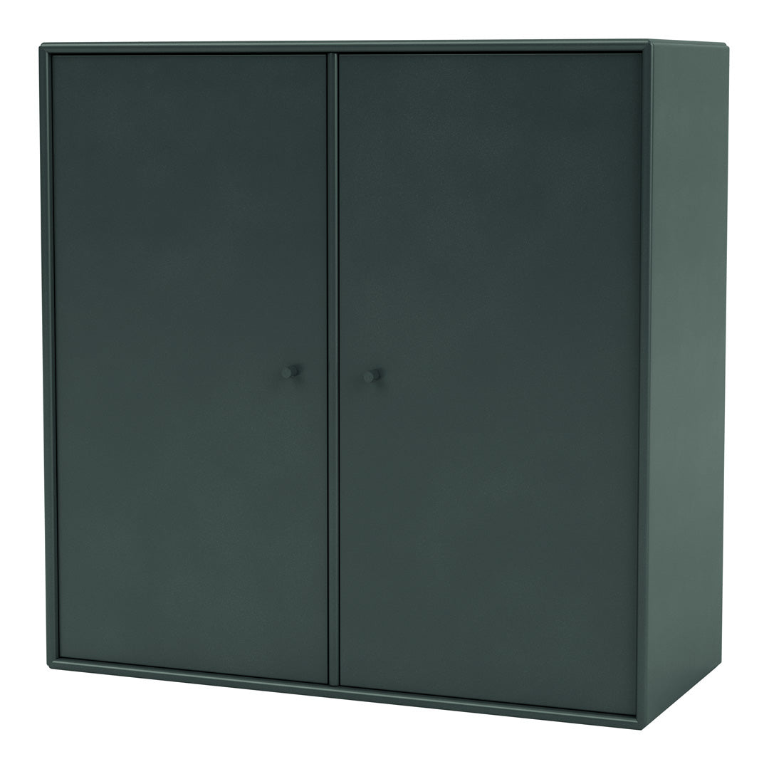 Modern 2-Door Lacquered Cabinet 1118 - Perfect for Living Room Storage & Bedroom Organization