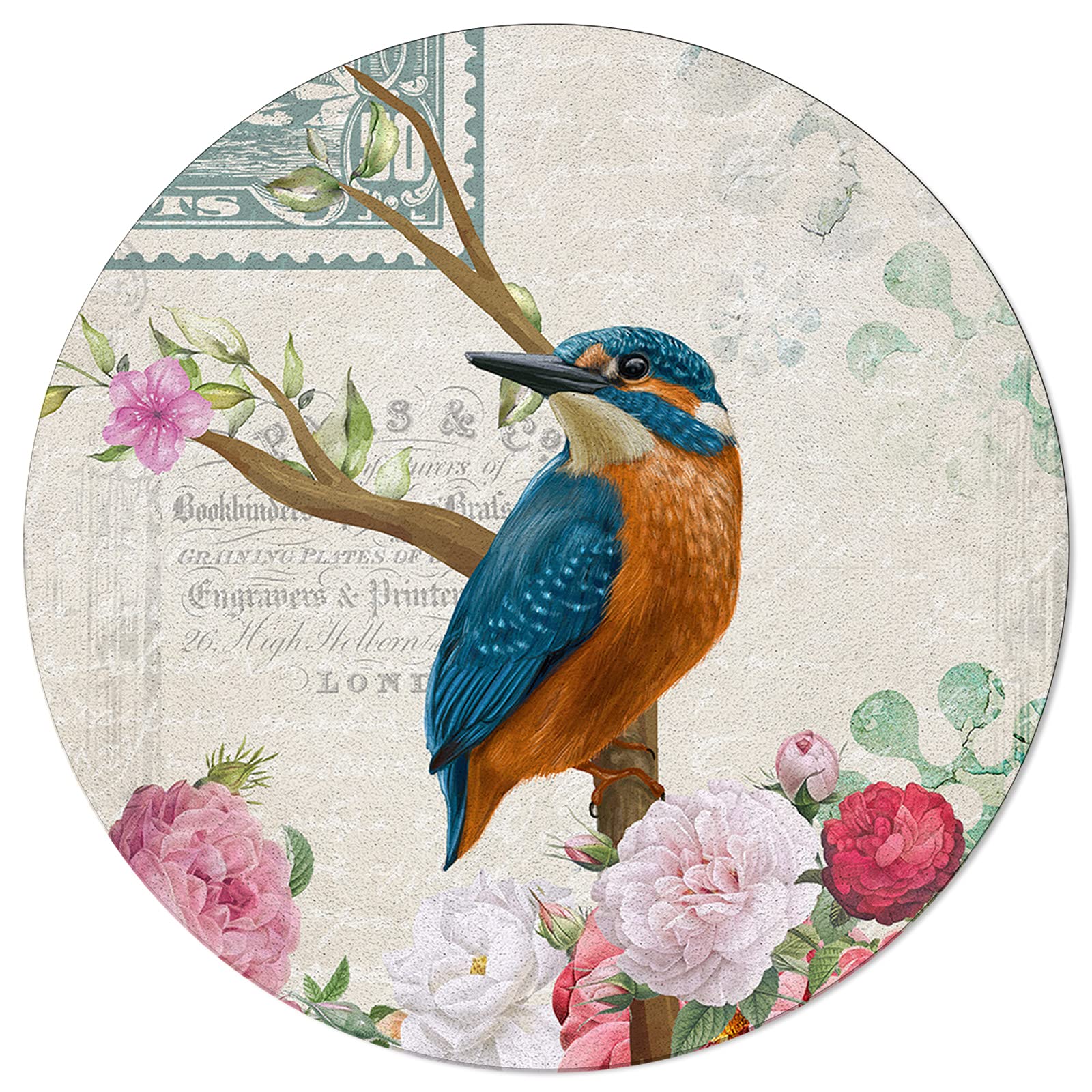 Blue Brown Bird Colorful Retro Waterprint Postmark Newspaper Area Rug - 5FT Round Washable Indoor/Outdoor Carpet for Kids & Teens Bedroom, Living Room - Perfect for Boho Decor, Dorm Room, Nursery & Playroom Floor Mat