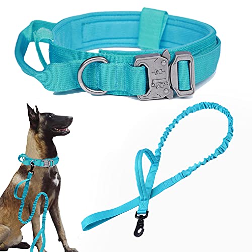 Blue SET(collar+leash)