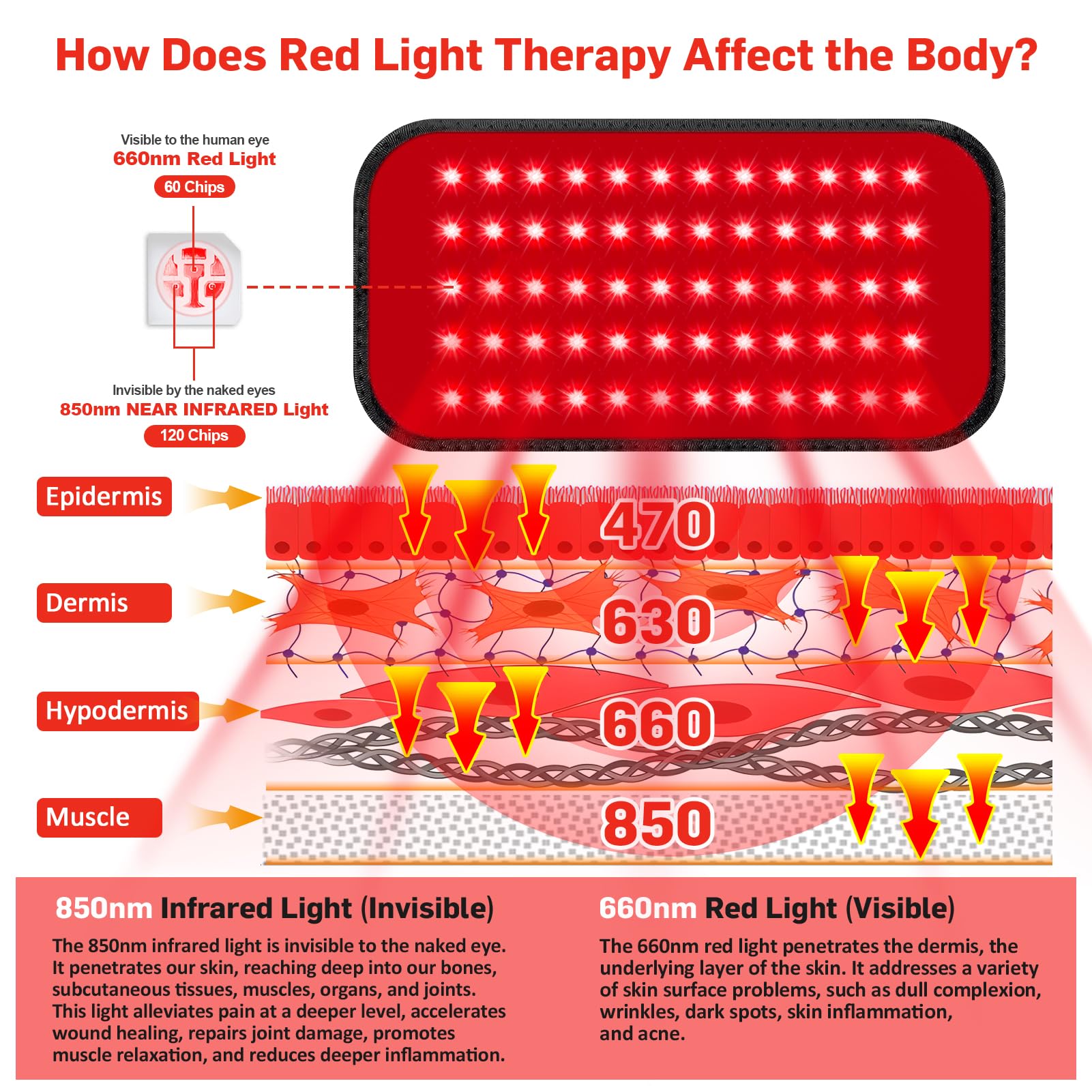 Red Light Therapy Belt for Pain Relief - Infrared Light Therapy Wrap for Back, Shoulder & Waist - Wearable Muscle & Joint Pain Relief with Timer - Improves Inflammation - Home & Office Use