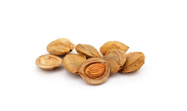 Organic California Grown Bitter Apricot Seeds - Raw, All Natural, Non-GMO - 1 LB Pack for Baking, Snacking & Healthy Recipes