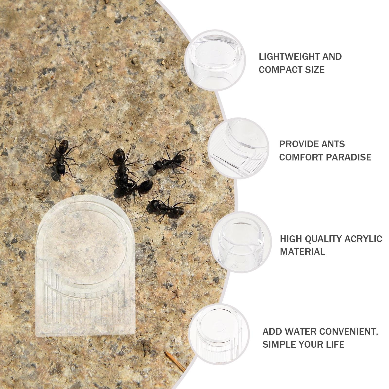 Mipcase Mini Liquid Feeder - Ant Farm Water Dispenser with Small Water Bowls | Pet Water Bottle for Feeding Ants | Perfect for Ant Colonies, Terrariums & Science Projects