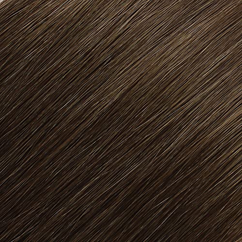 #6 - Chestnut Brown