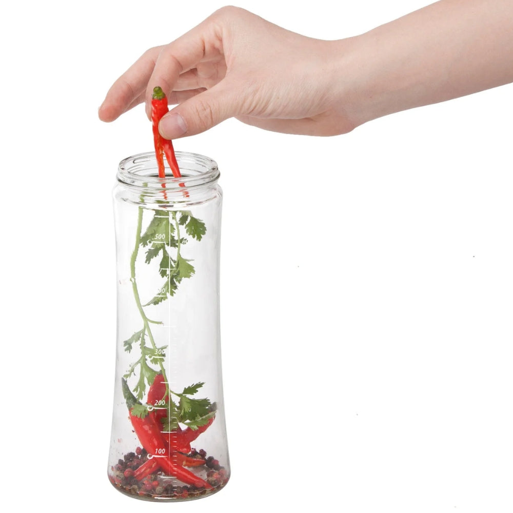 Cuisinox 18 Oz Stainless Steel Herb Infusion Water Bottle for Tea & Detox Drinks - Perfect for Gym, Office & Outdoor Activities