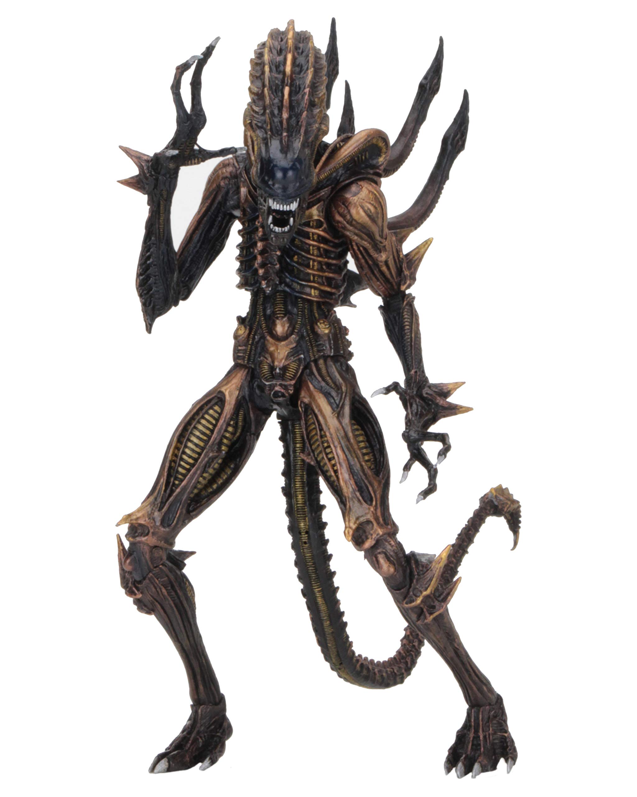 NECA Aliens 7-Inch Scale Action Figure Series 13 Scorpion - Xenomorph Collectible Toy for Sci-Fi Fans & Movie Enthusiasts - Perfect for Display, Collecting, and Role-Playing Scenes