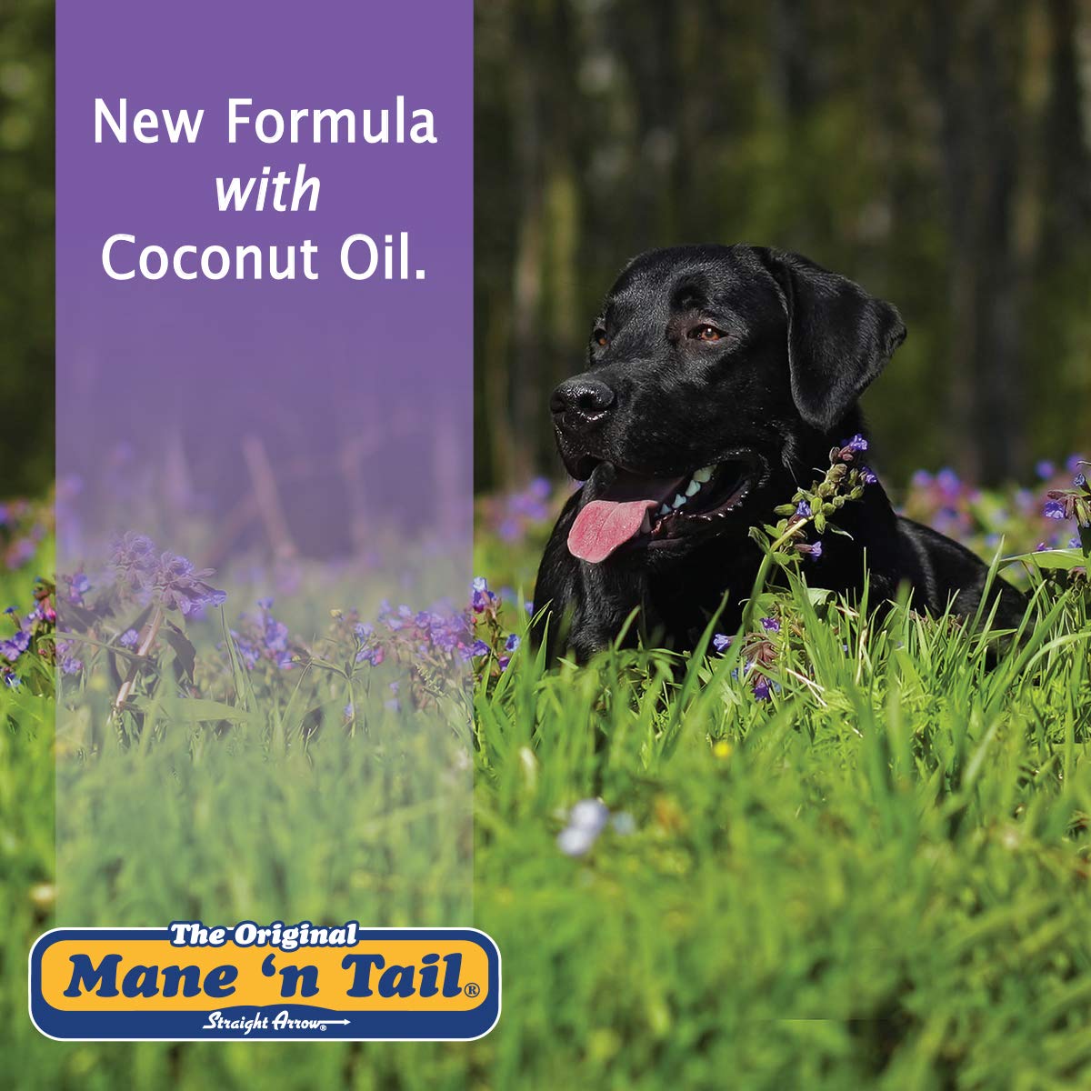 Mane 'n Tail Ultimate Gloss Shampoo for Horses & Humans - 32oz Moisturizing & Shine Enhancing Formula - Perfect for Show Prep & Daily Grooming