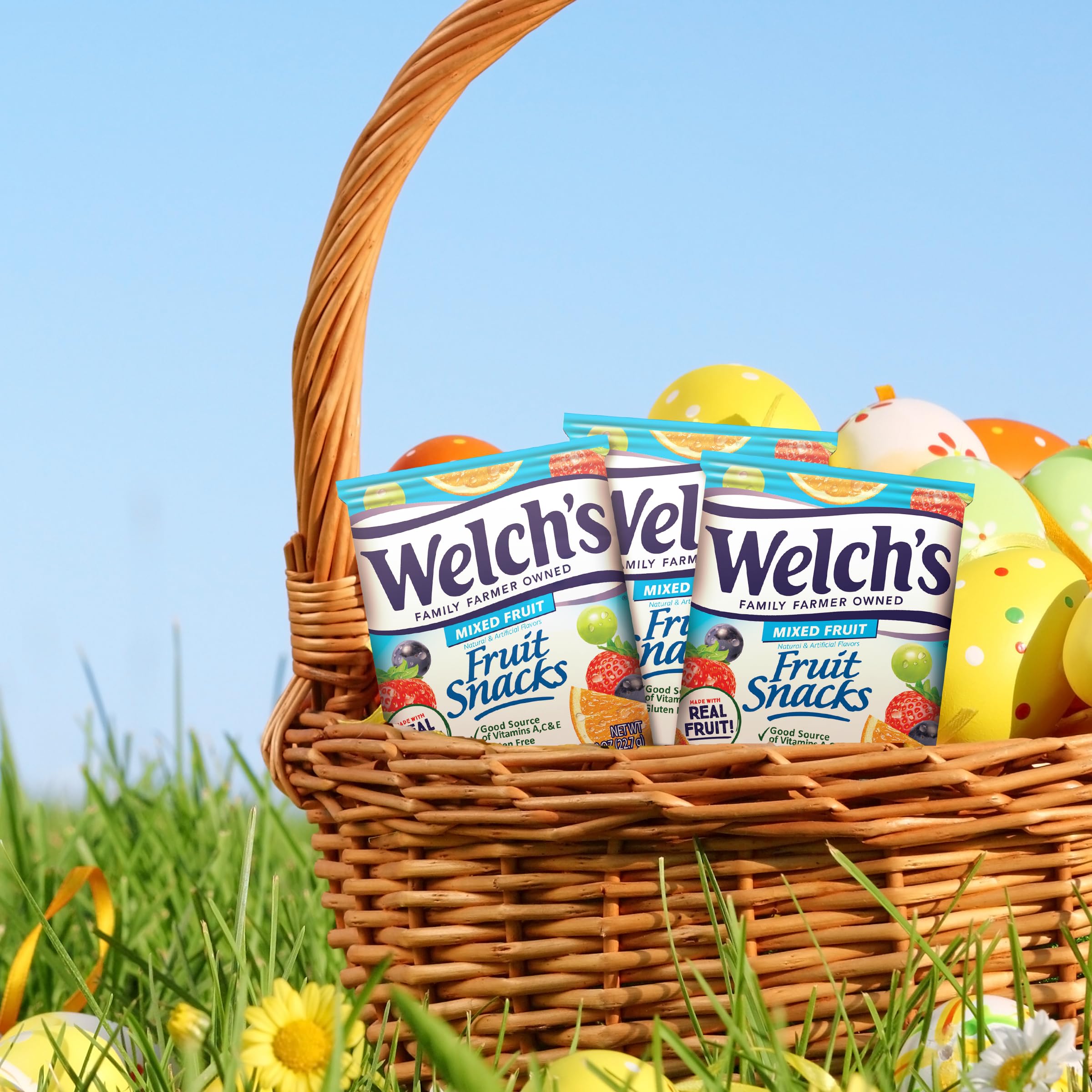Welch's Mixed Fruit Snacks - Gluten Free, Bulk Pack of 12 (5 oz Each) - Healthy On-the-Go Snack for Kids Lunch, School, Travel & Office | Individually Wrapped Single Serve Bags