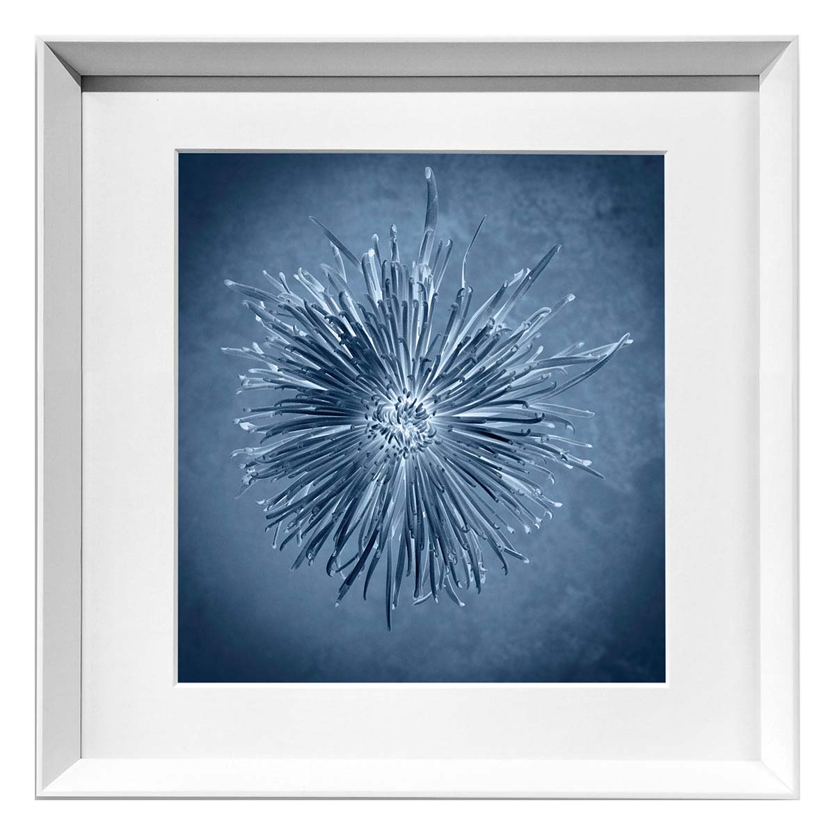 Premium Mum Framed Fine Art Print on 100% Cotton Paper - Elegant Wall Decor for Living Room, Bedroom & Office