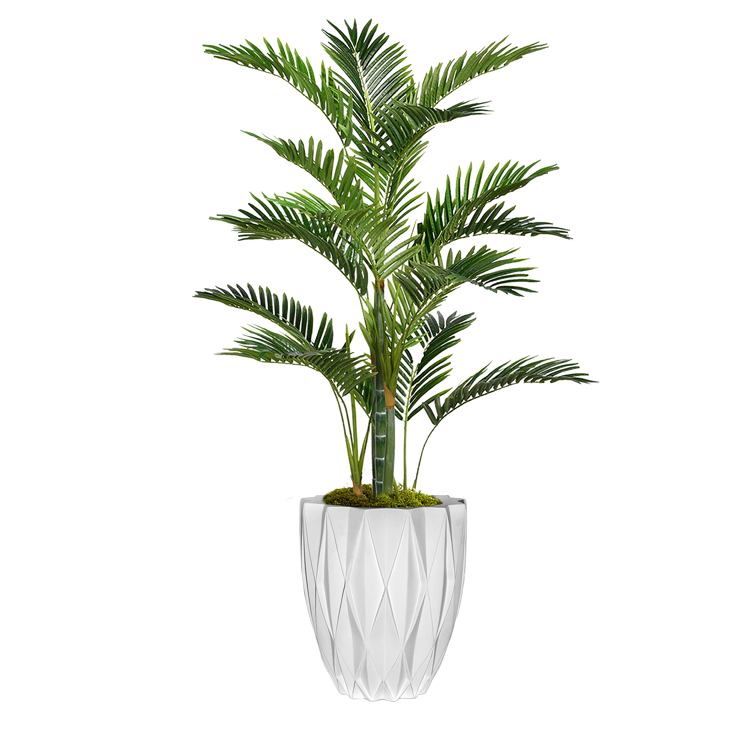 5.67ft Tall Artificial Palm Tree with Fiberstone Planter - Real Touch Faux Vintage Luxury Indoor/Outdoor Decor for Living Room, Office, Patio & Poolside (VHX131225)