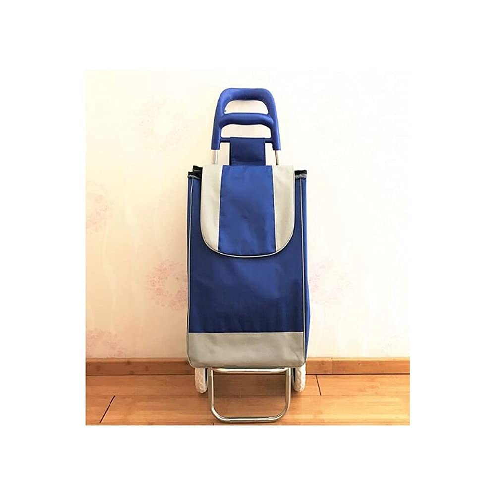 Foldable Collapsible Wagon Cart - Heavy Duty Portable Utility Cart with Removable Handle for Grocery Shopping, Beach, Picnic, Camping, Home Storage & Outdoor Activities (Blue) - Perfect for Park Trips, Tailgating & Farmers Market Use