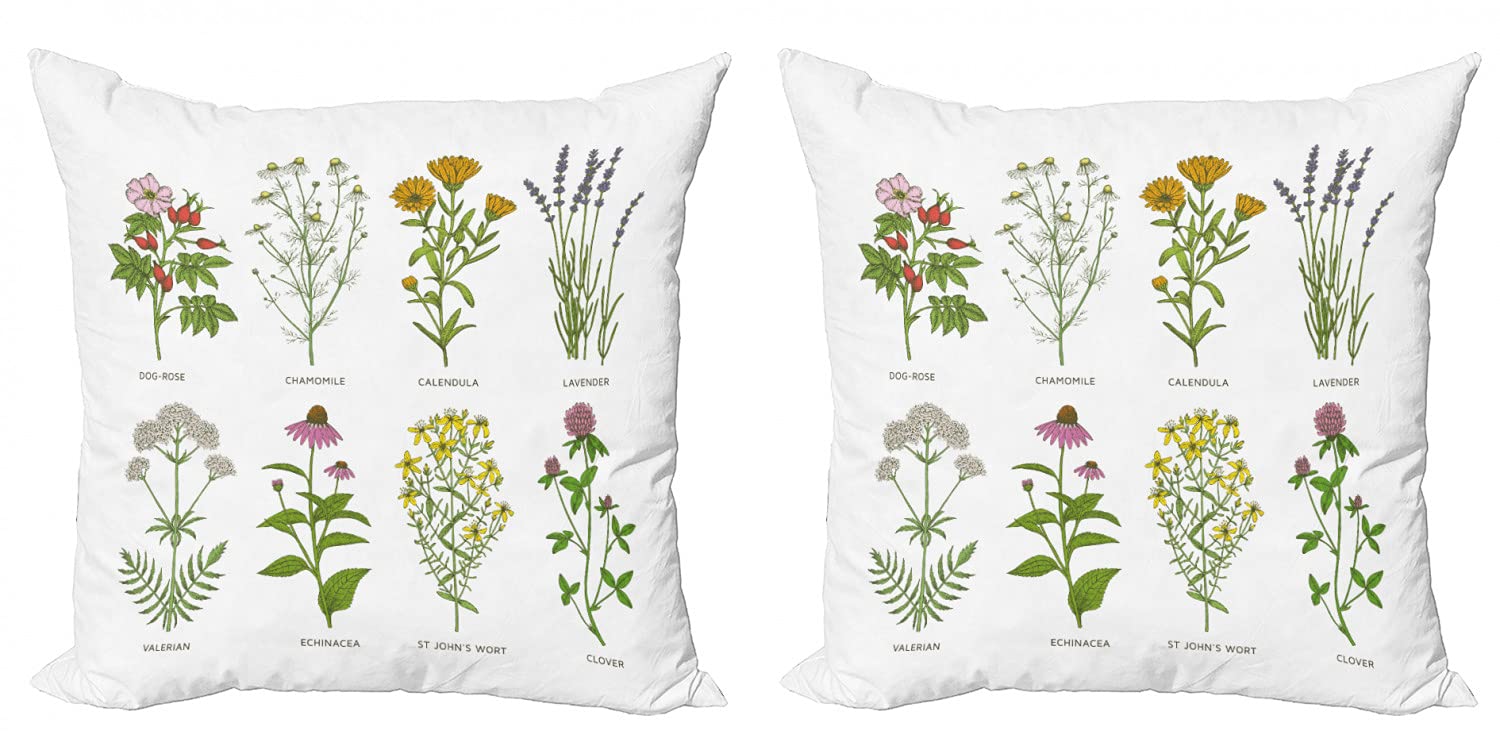 Ambesonne 2-Pack Herb Throw Pillow Covers - Dog Rose, Chamomile, Calendula & Lavender Floral Print - 20 Inch Zippered Decorative Cushion Covers for Sofa, Bed, Living Room - Double-Sided Digital Print Home Decor