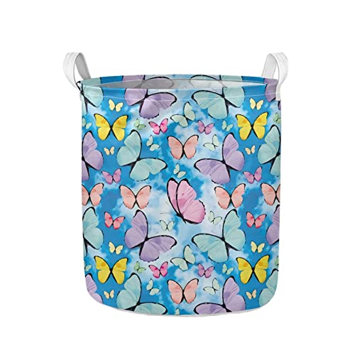 Multicolored Butterfly Pattern