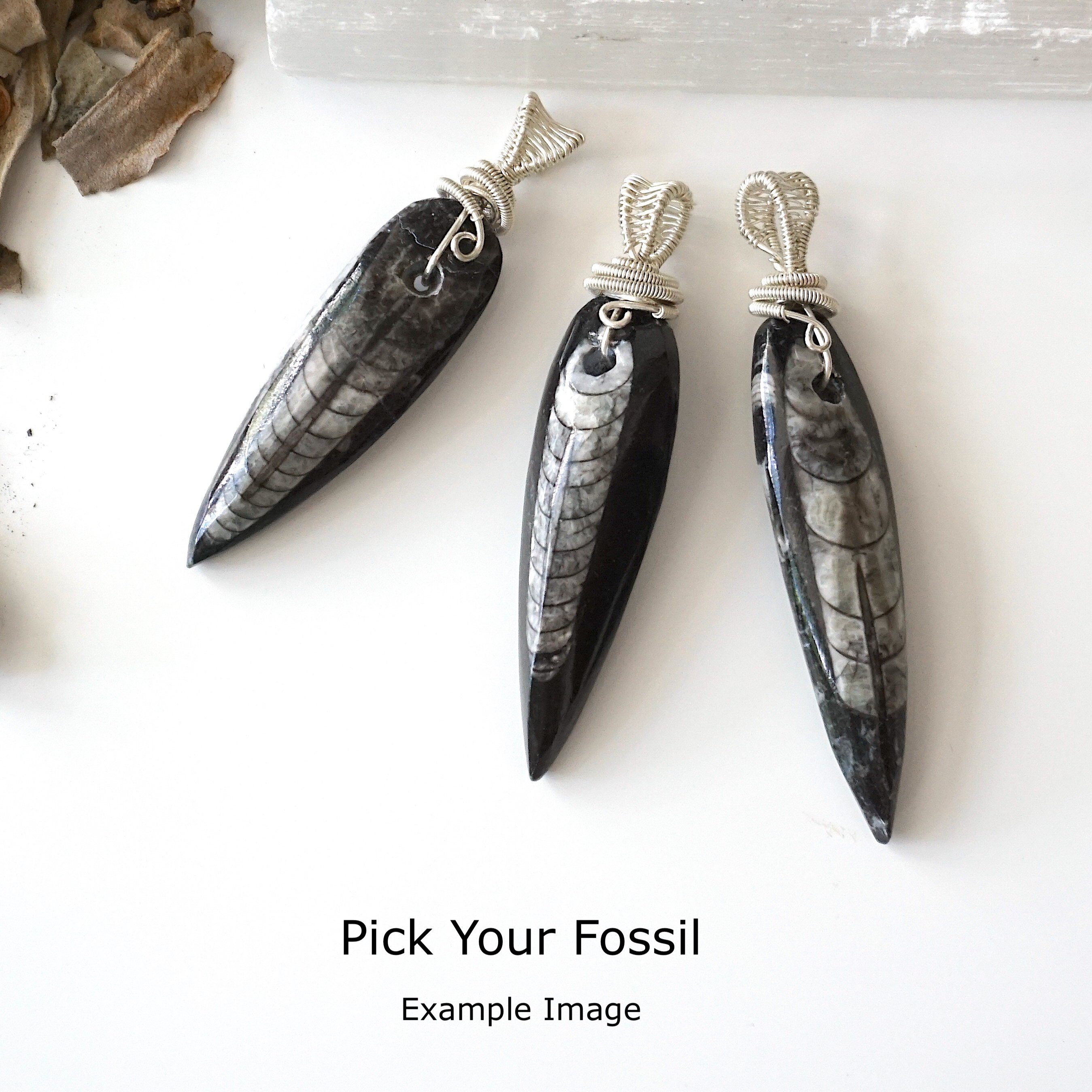 Black Fossil Arrowhead Necklace - Sterling Silver Wire Wrap Pendant Jewelry for Men & Women | Perfect for Outdoor Adventures, Nature Lovers & Unique Gift Giving