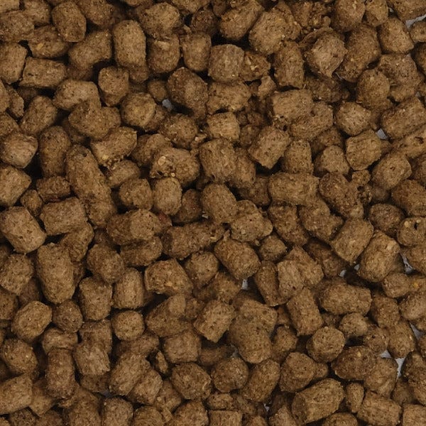 Fluval Bug Bites Slow Sinking Pellet Cichlid Fish Food - High Protein Natural Ingredients (100g) - Ideal for African Cichlids, Tropical Fish & Aquarium Pets