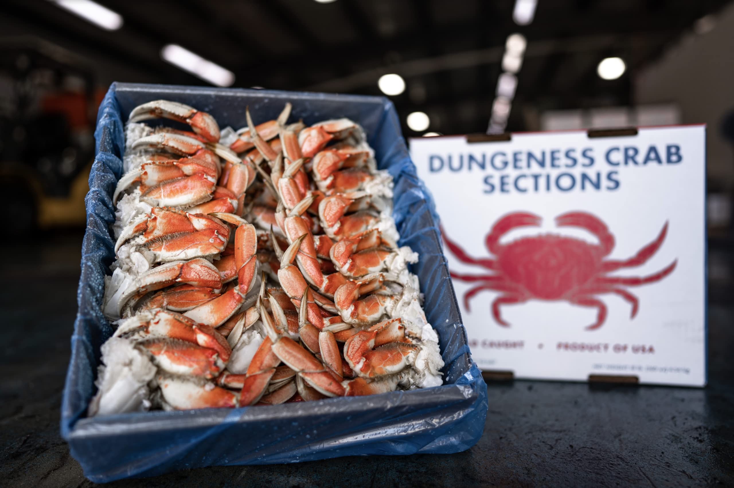 Fresh Dungeness Crab Sections - 10 Pound Box | Premium Wild-Caught Crab Meat for Seafood Lovers | Perfect for Crab Cakes, Salads & Gourmet Meals